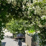 Serenita Prázdninový dům Villemoustaussou