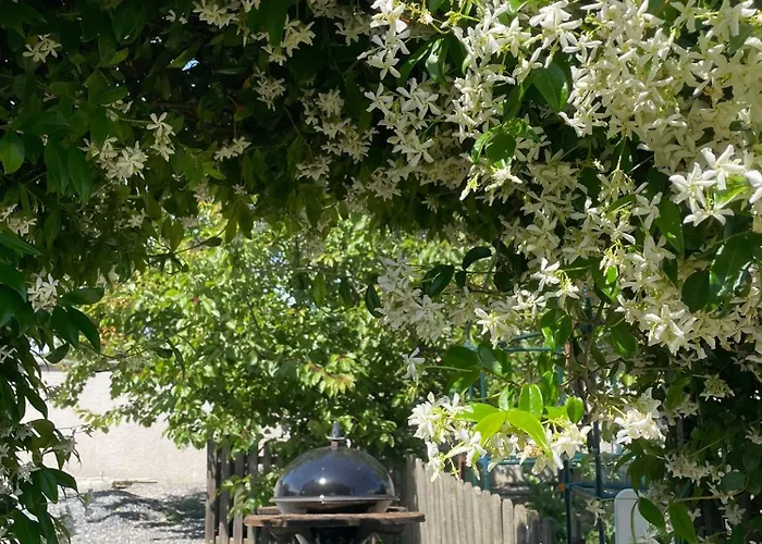 Serenita Casa vacanze Villemoustaussou